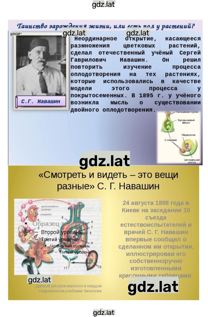 Решение задания № 30 — страница 8