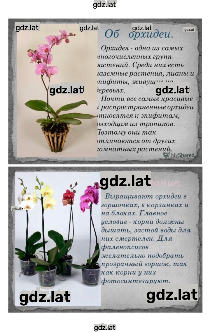 Решение задания № 32 — страница 5