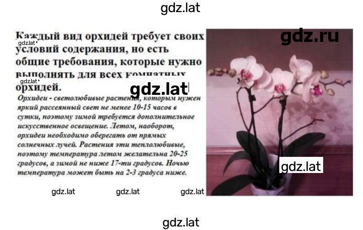 Решение задания № 32 — страница 7