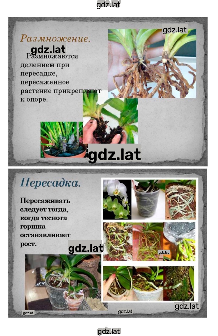 Решение задания № 32 — страница 8