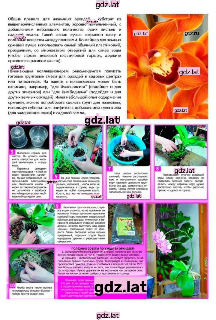 Решение задания № 32 — страница 9