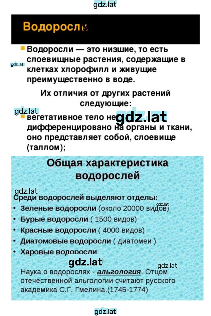 Решение задания № 37 — страница 4