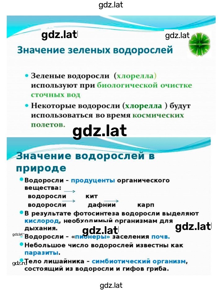 Решение задания № 37 — страница 5