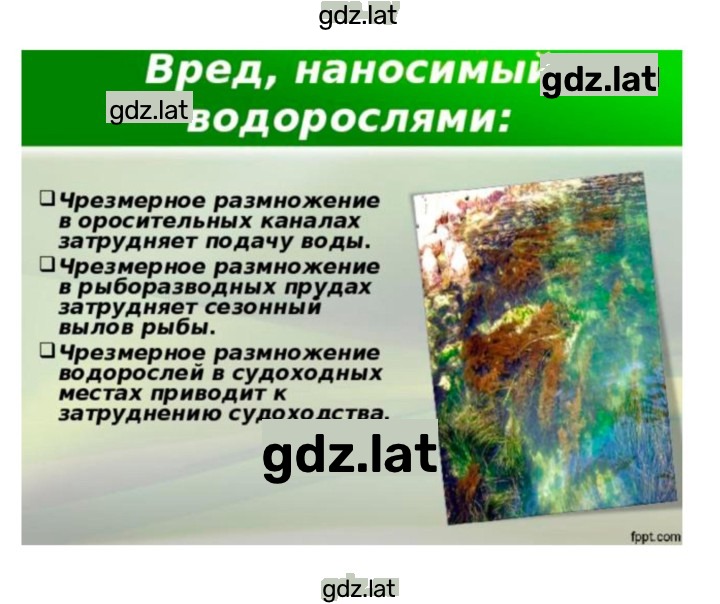 Решение задания № 37 — страница 7