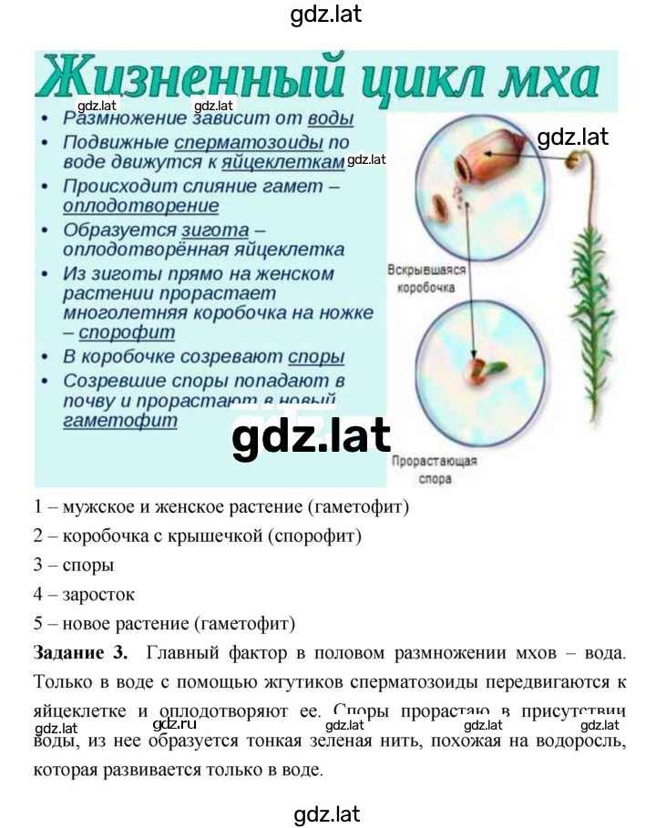Решение задания № 38 — страница 2