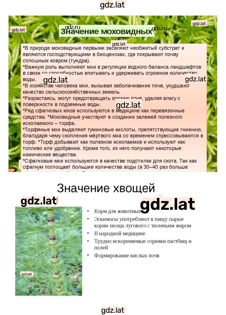 Решение задания № 39 — страница 4