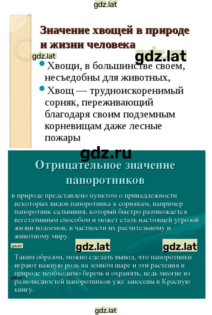 Решение задания № 39 — страница 5