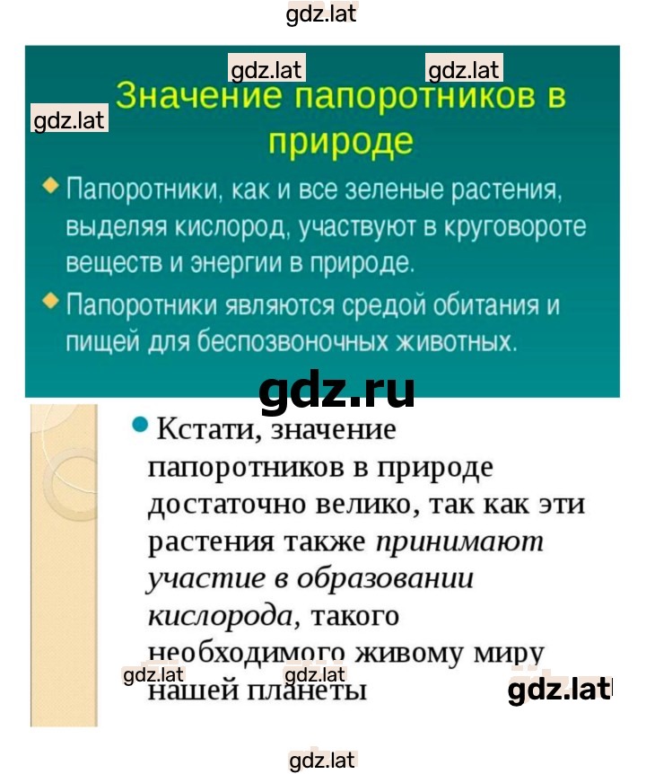 Решение задания № 39 — страница 6