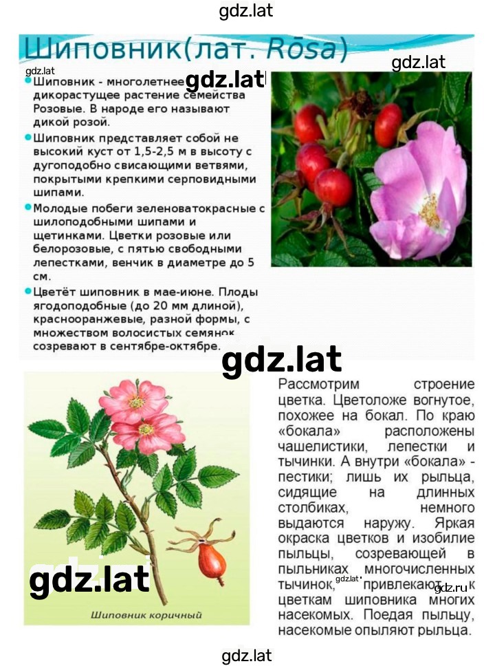 Решение задания № 4 — страница 2