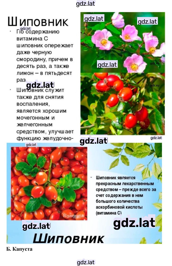 Решение задания № 4 — страница 4