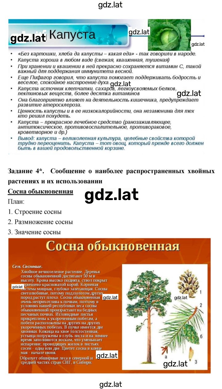 Решение задания № 4 — страница 8