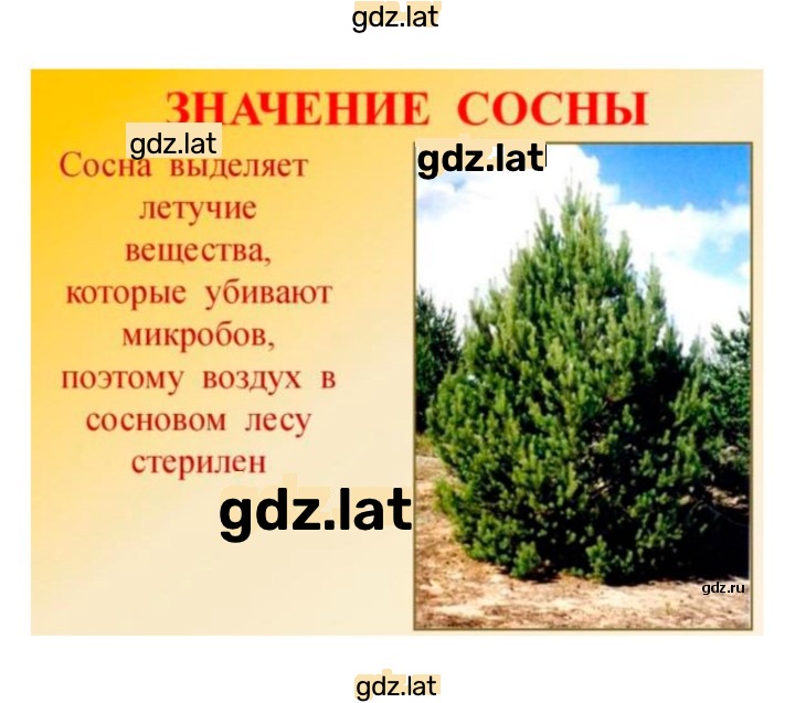 Решение задания № 4 — страница 10