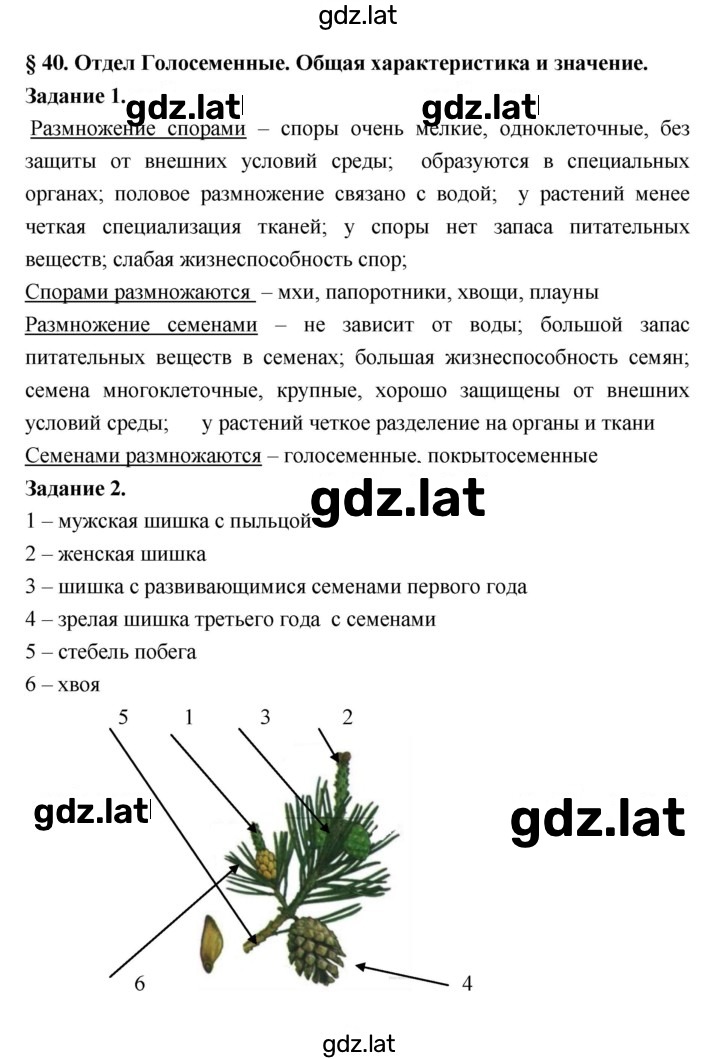 Решение задания № 40 — страница 1