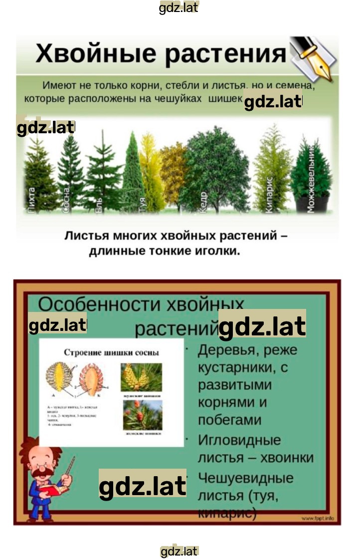 Решение задания № 40 — страница 3