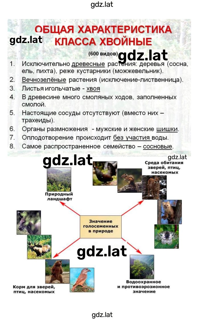 Решение задания № 40 — страница 4