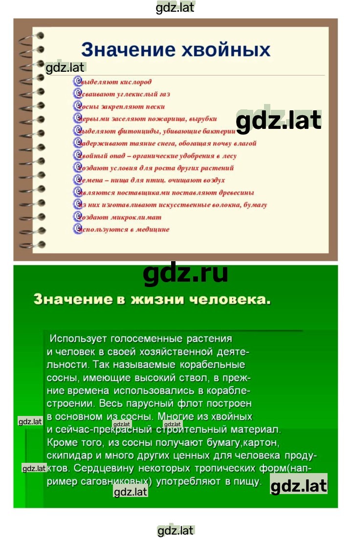 Решение задания № 40 — страница 6