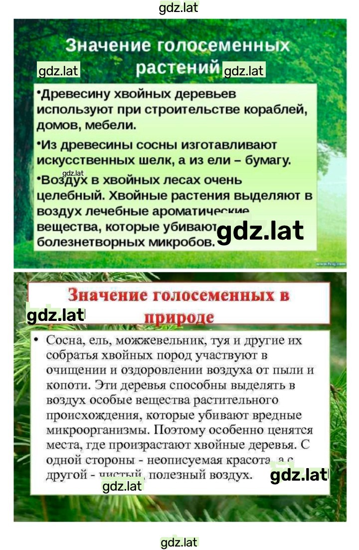 Решение задания № 40 — страница 7