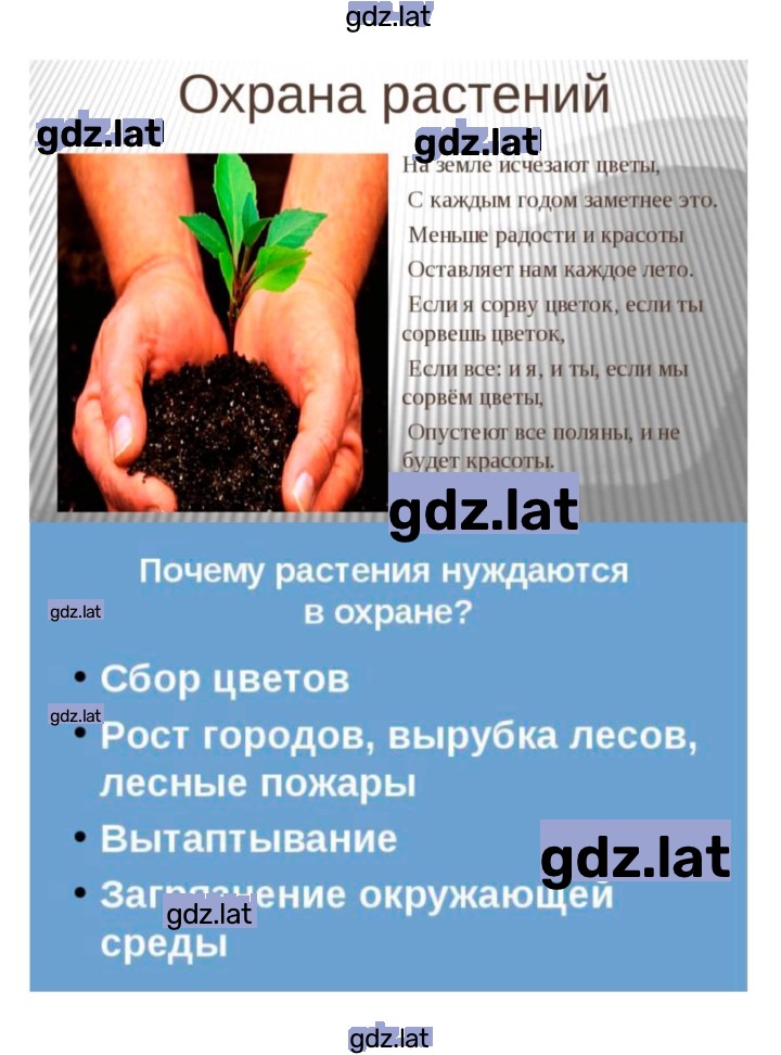Решение задания № 41 — страница 4