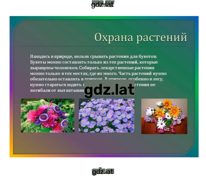 Решение задания № 41 — страница 5