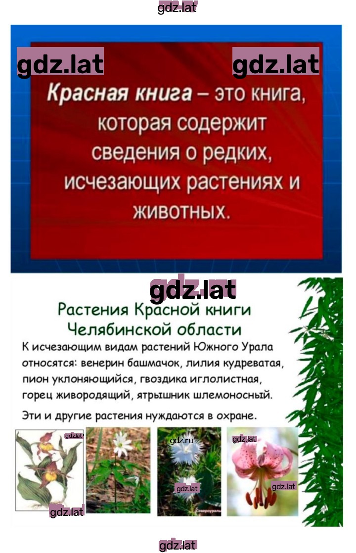 Решение задания № 41 — страница 8