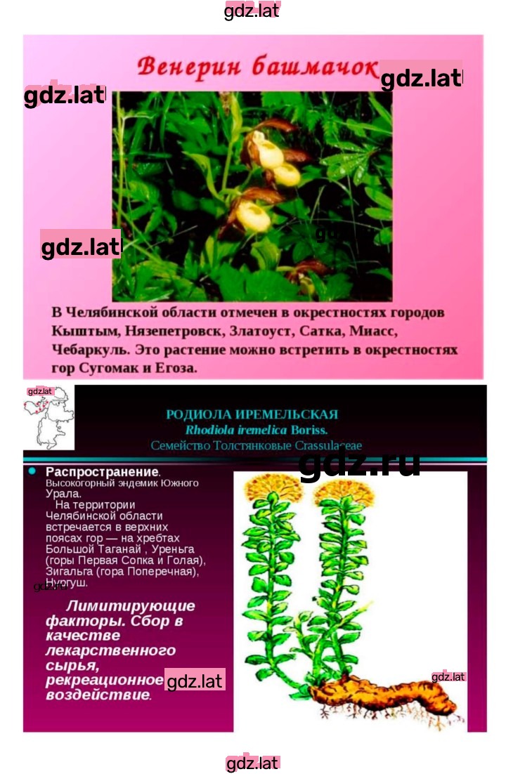 Решение задания № 41 — страница 9