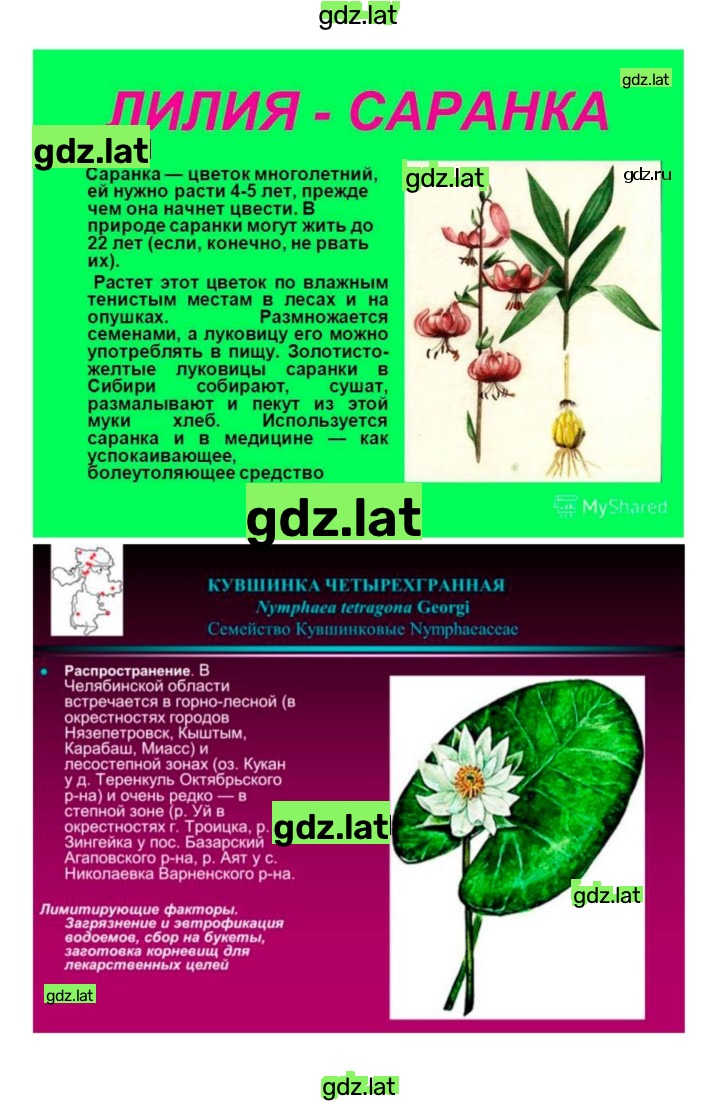 Решение задания № 41 — страница 10