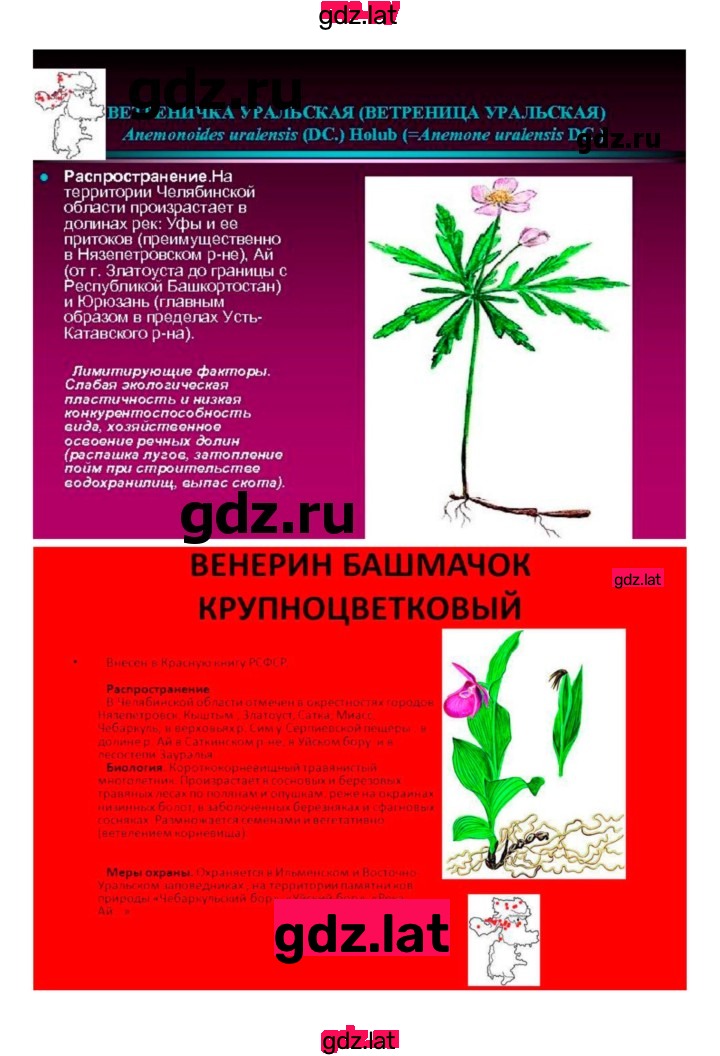 Решение задания № 41 — страница 11