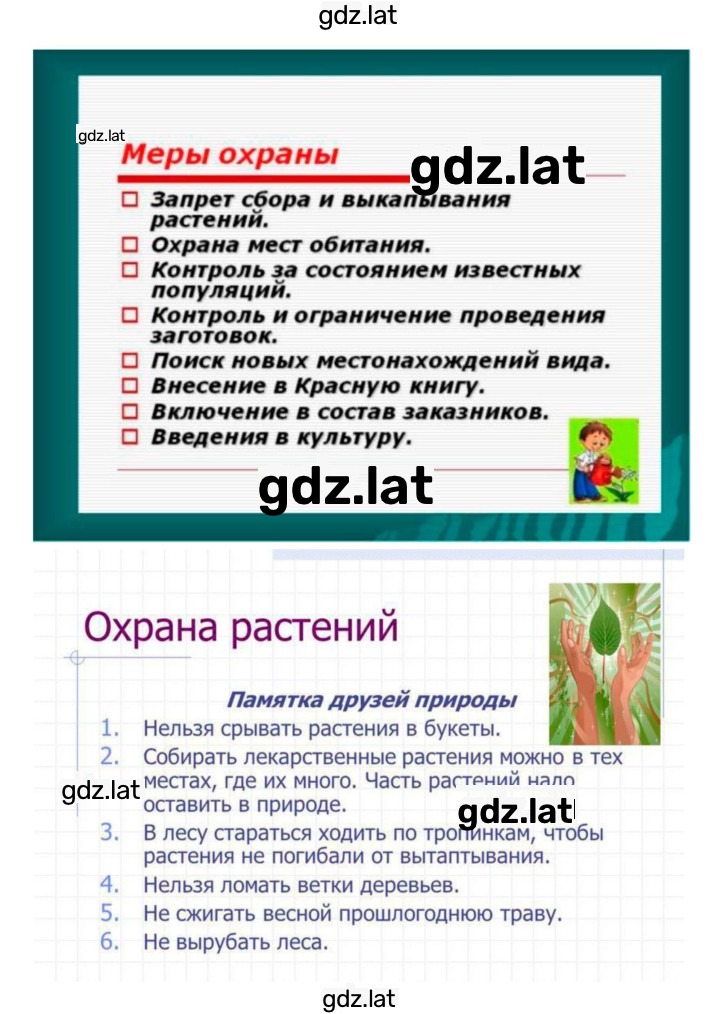 Решение задания № 41 — страница 12