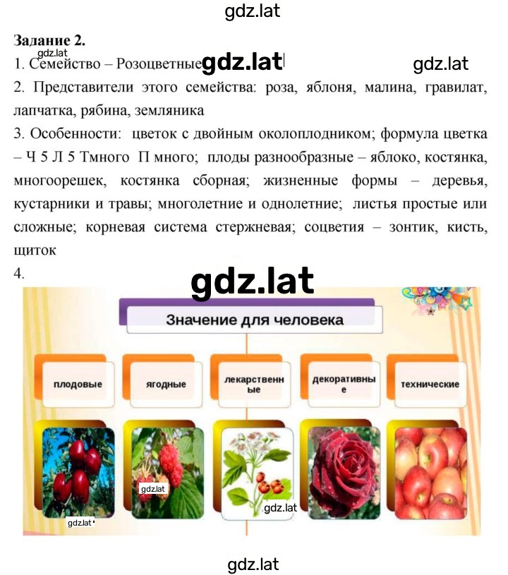 Решение задания № 42 — страница 2