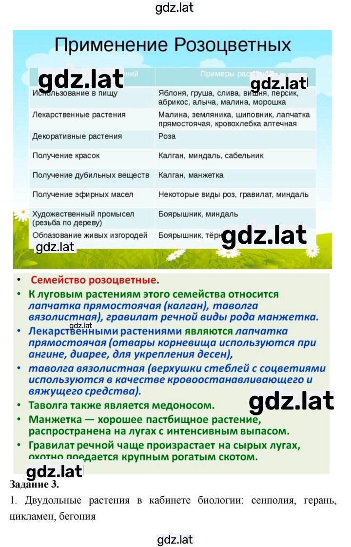Решение задания № 42 — страница 3