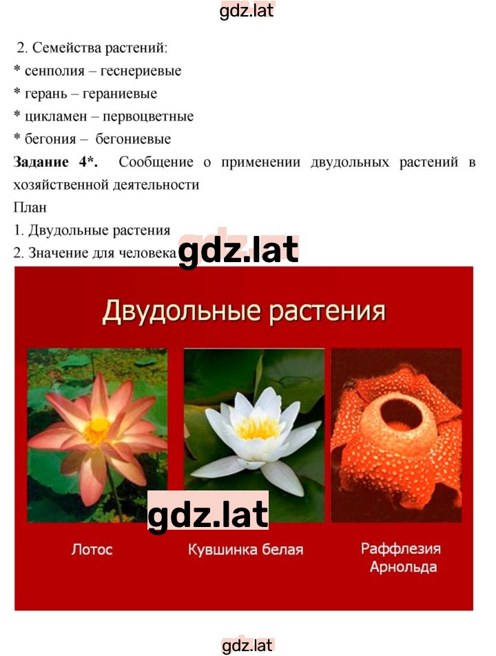 Решение задания № 42 — страница 4