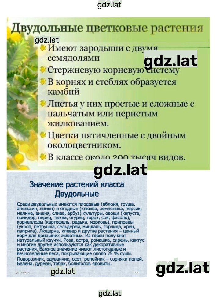Решение задания № 42 — страница 5