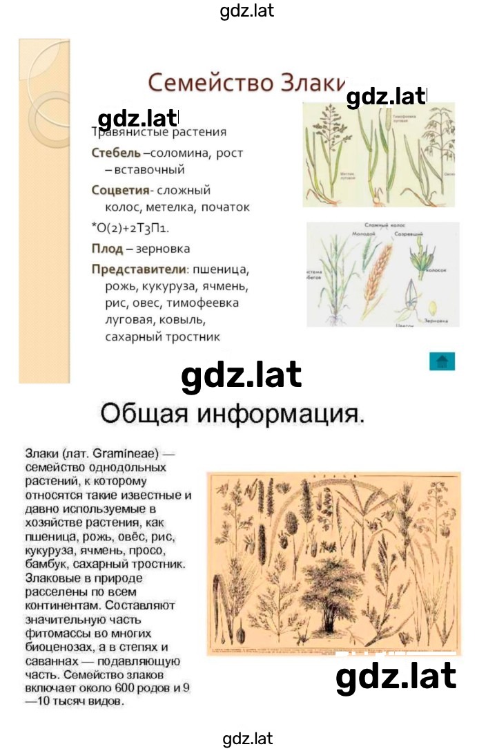 Решение задания № 43 — страница 5