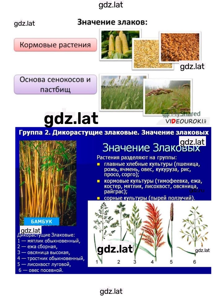 Решение задания № 43 — страница 6