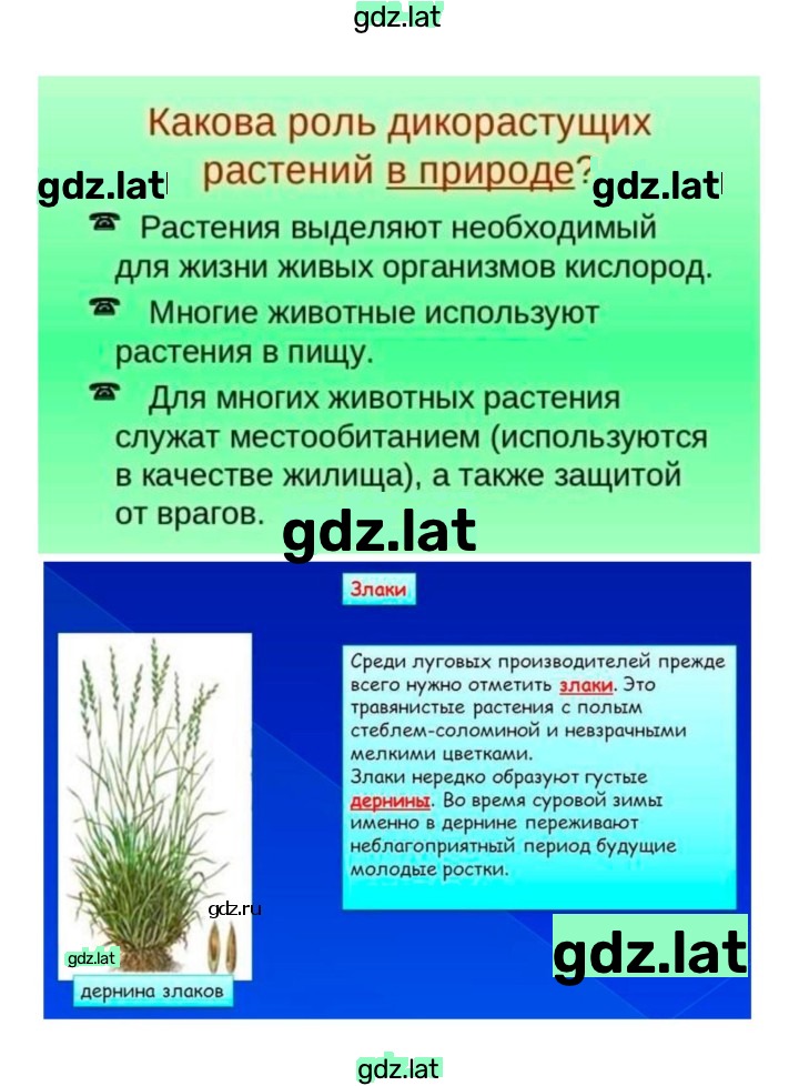 Решение задания № 43 — страница 7
