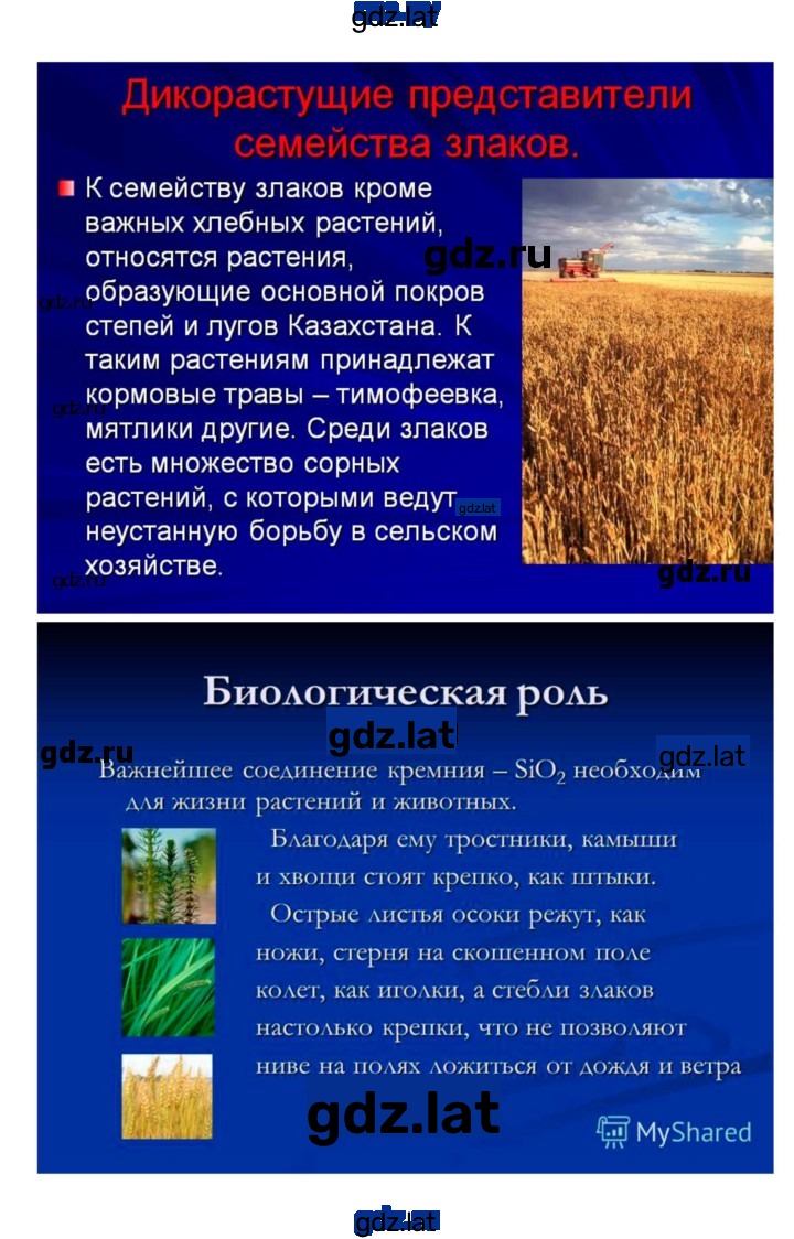 Решение задания № 43 — страница 8