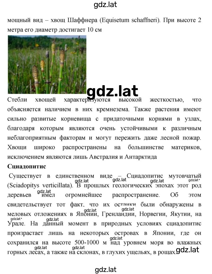 Решение задания № 44 — страница 5