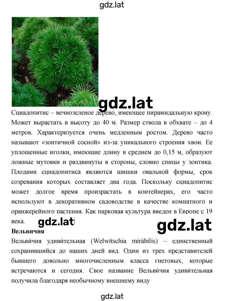Решение задания № 44 — страница 6