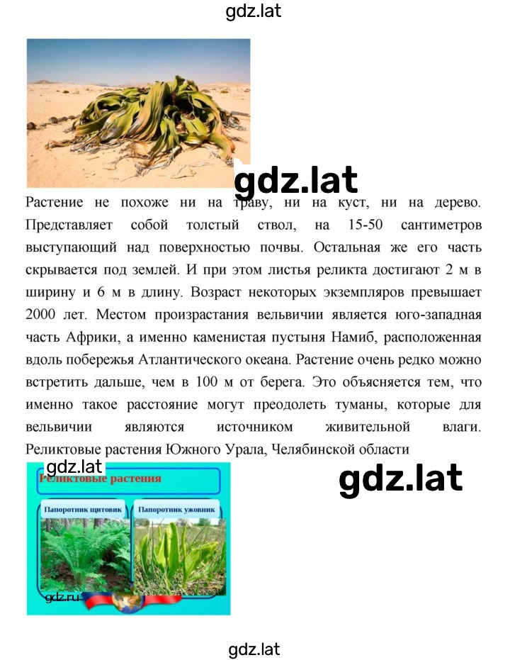 Решение задания № 44 — страница 7