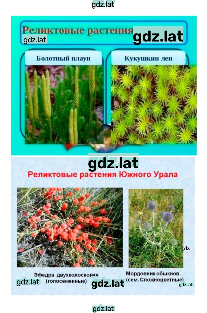 Решение задания № 44 — страница 8