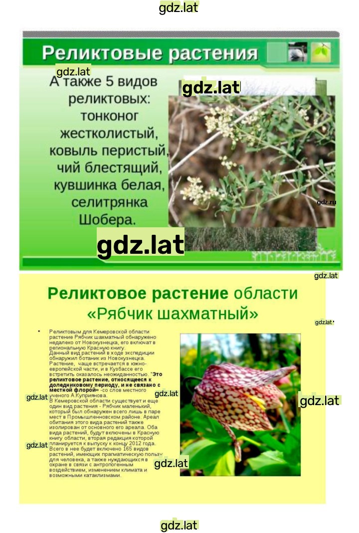 Решение задания № 44 — страница 9