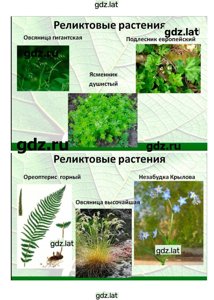 Решение задания № 44 — страница 10