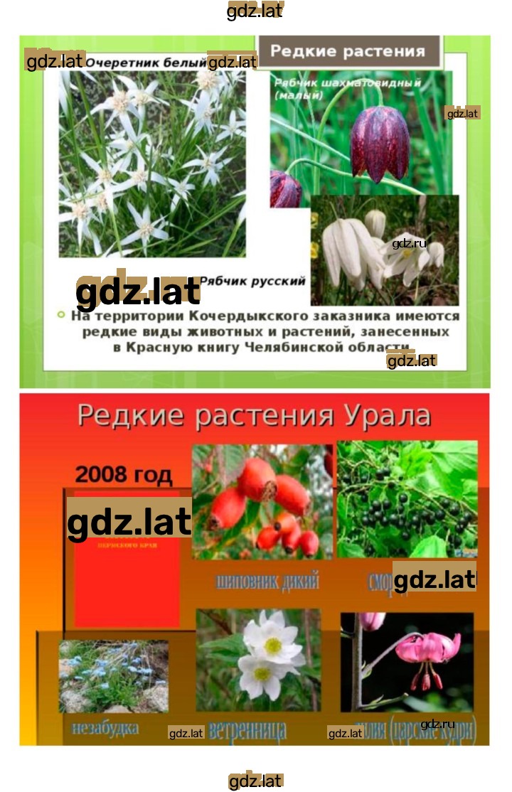 Решение задания № 45 — страница 3
