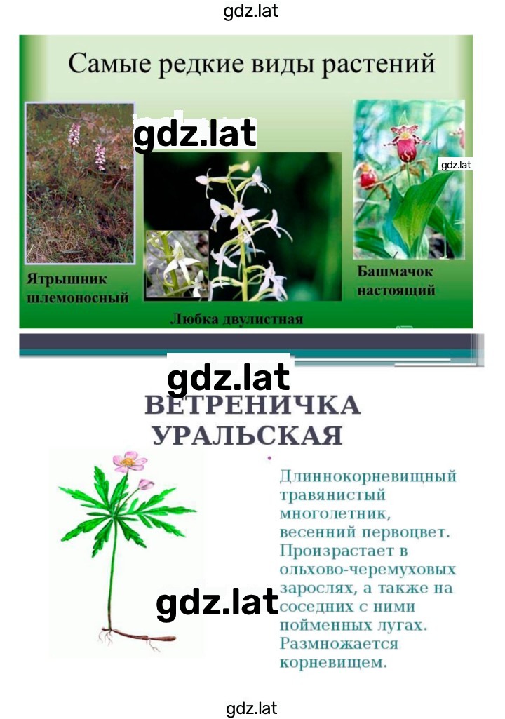 Решение задания № 45 — страница 4