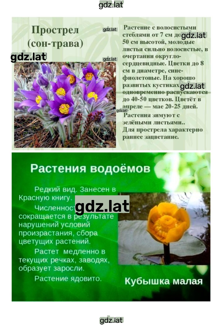 Решение задания № 45 — страница 5