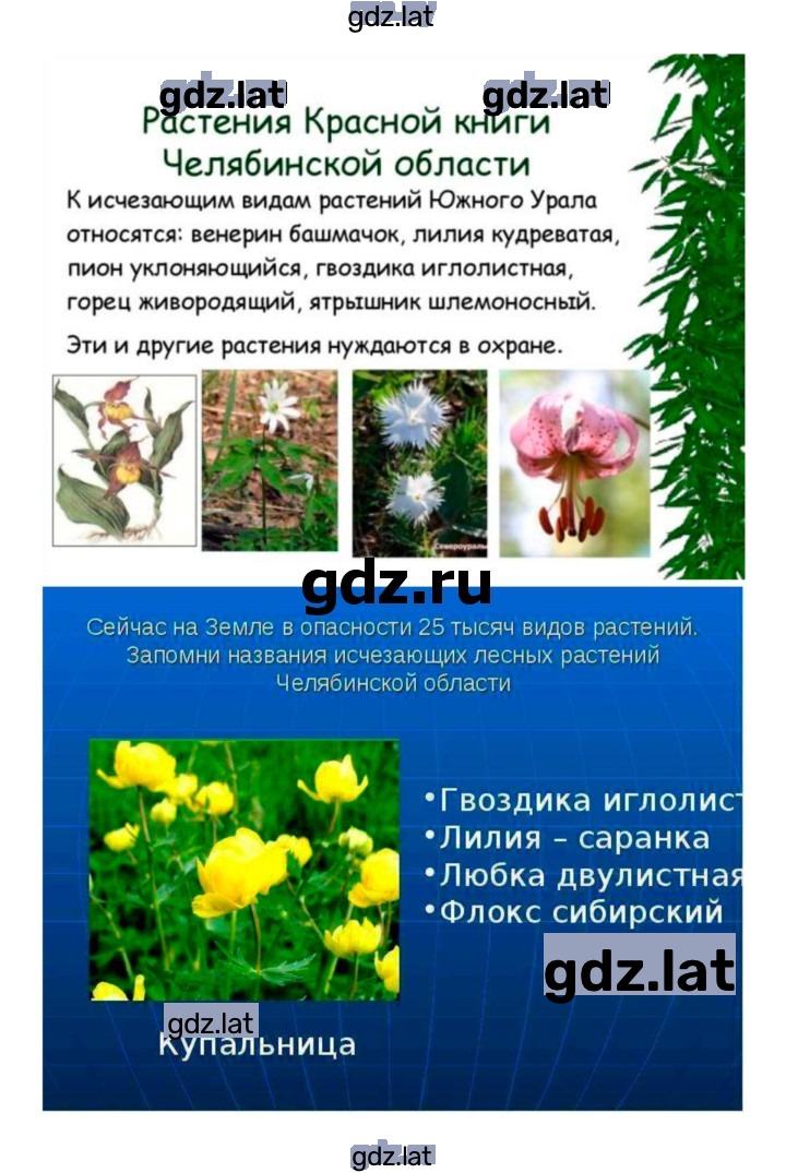 Решение задания № 45 — страница 6