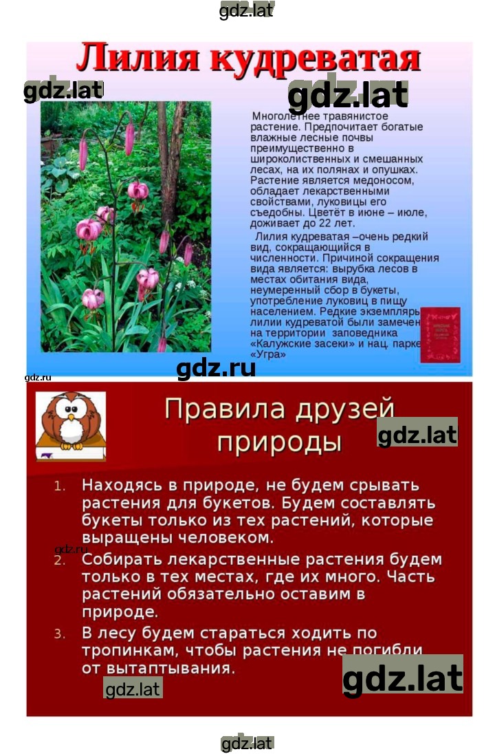 Решение задания № 45 — страница 8