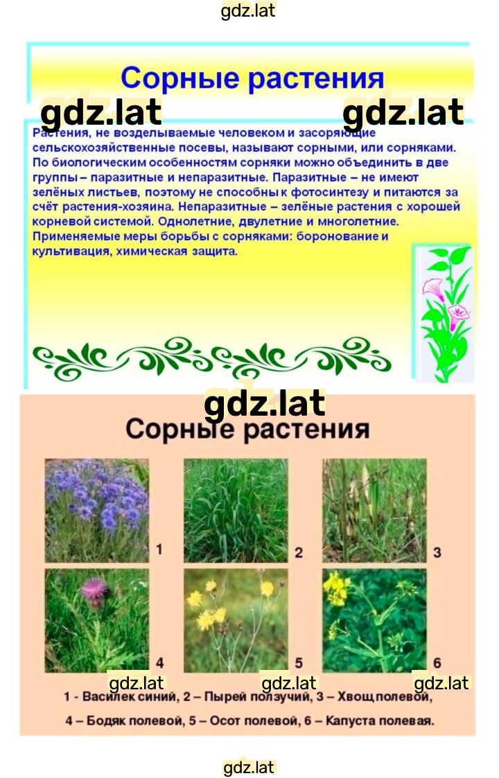 Решение задания № 46 — страница 2