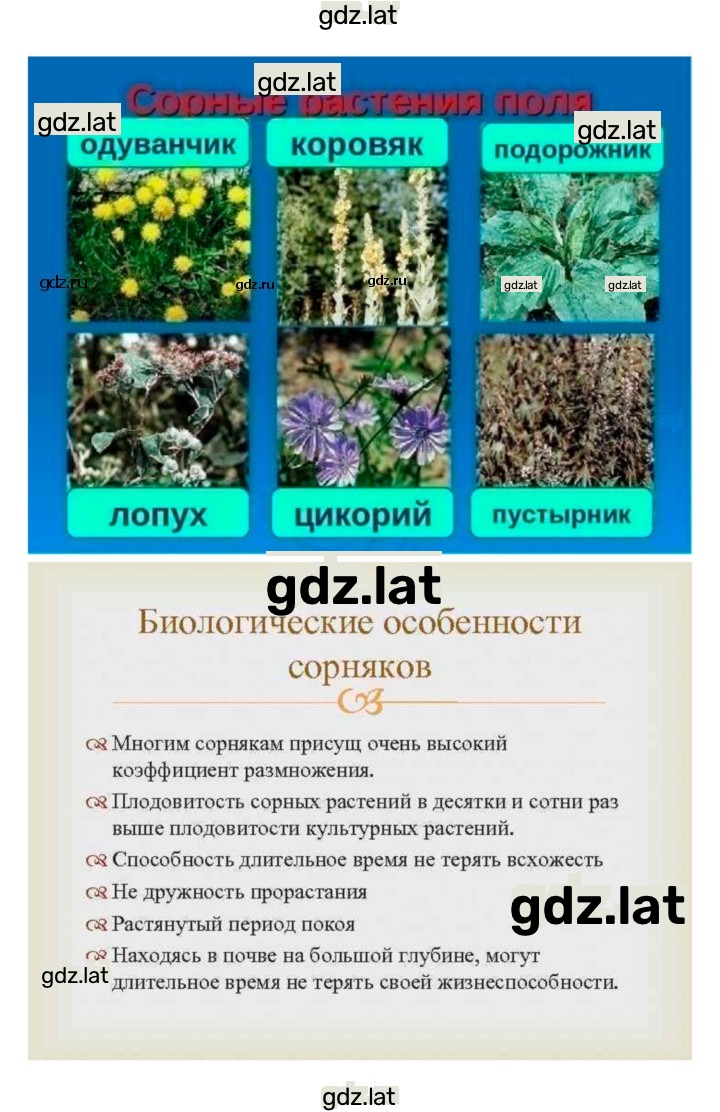 Решение задания № 46 — страница 3
