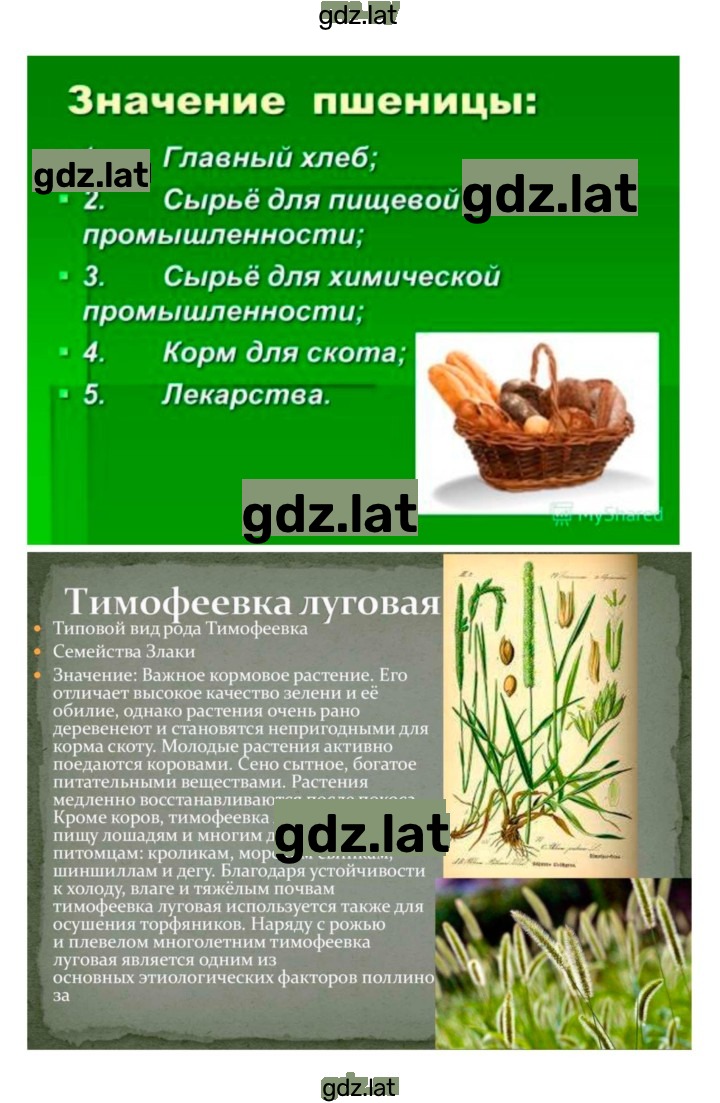Решение задания № 46 — страница 6